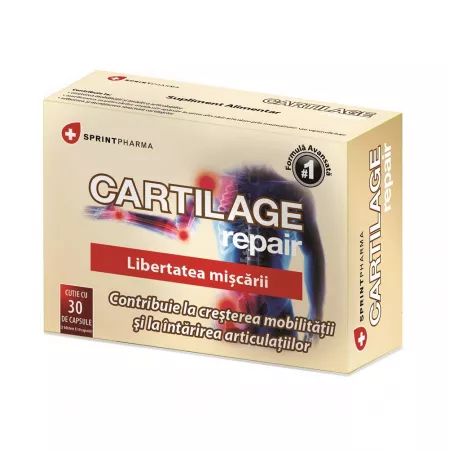 Cartilage Repair x 30 capsule Cartilage Repair x 30 capsule